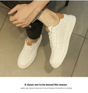 Men's Summer Breathable Casual Leather Shoes