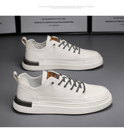 Men's Business Shirt Fashion Low Top Casual Shoes