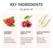 W1 Piece 8.3ml Moisturizing and Volumizing Lip Gloss Oil, Hydrating Lip Glow Oil, Lip Care Beauty Product, Tinted Lip Oil